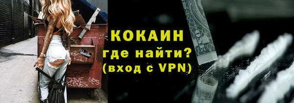 прущие крисы Горняк