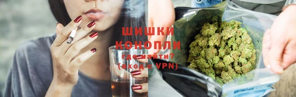 прущие крисы Горняк