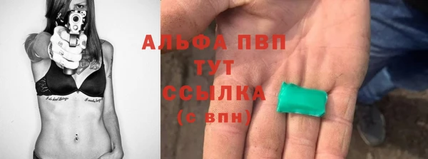 прущие крисы Горняк