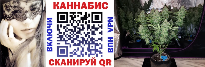 МАРИХУАНА конопля Ростов-на-Дону